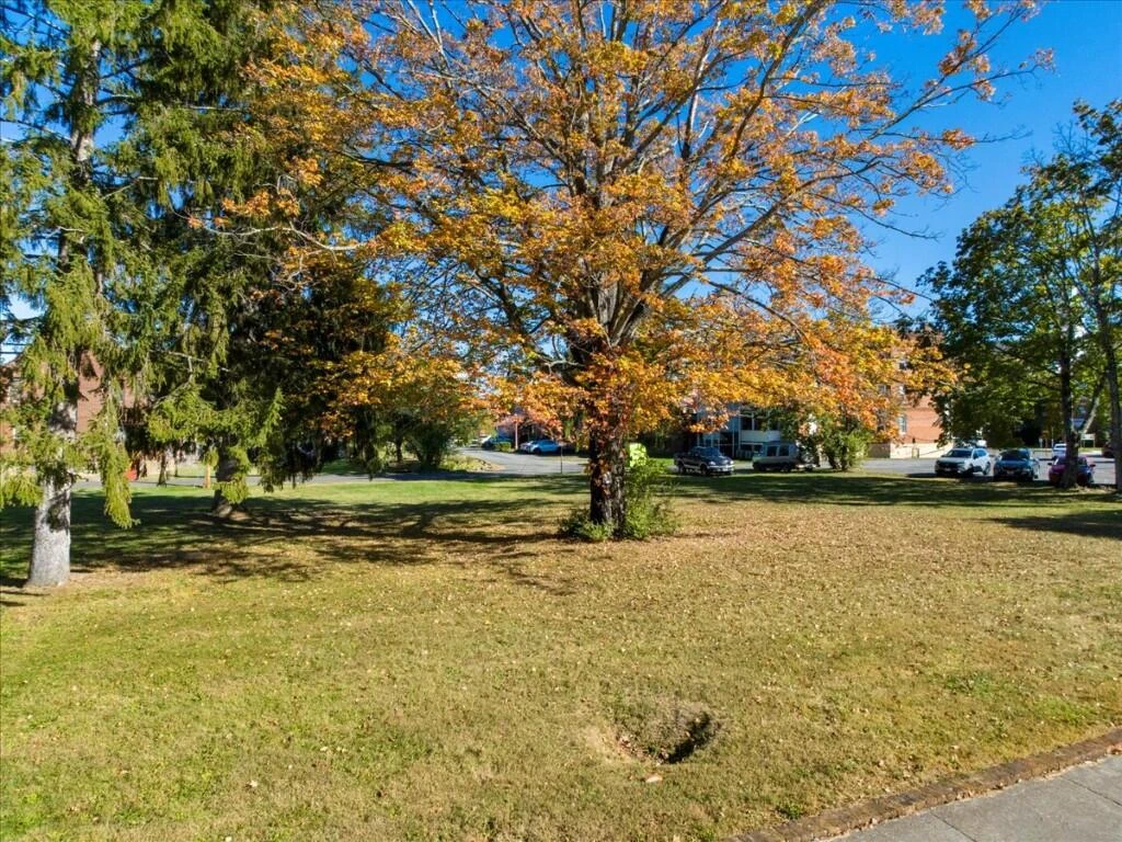 TBD Jefferson AVE N - Photo 13
