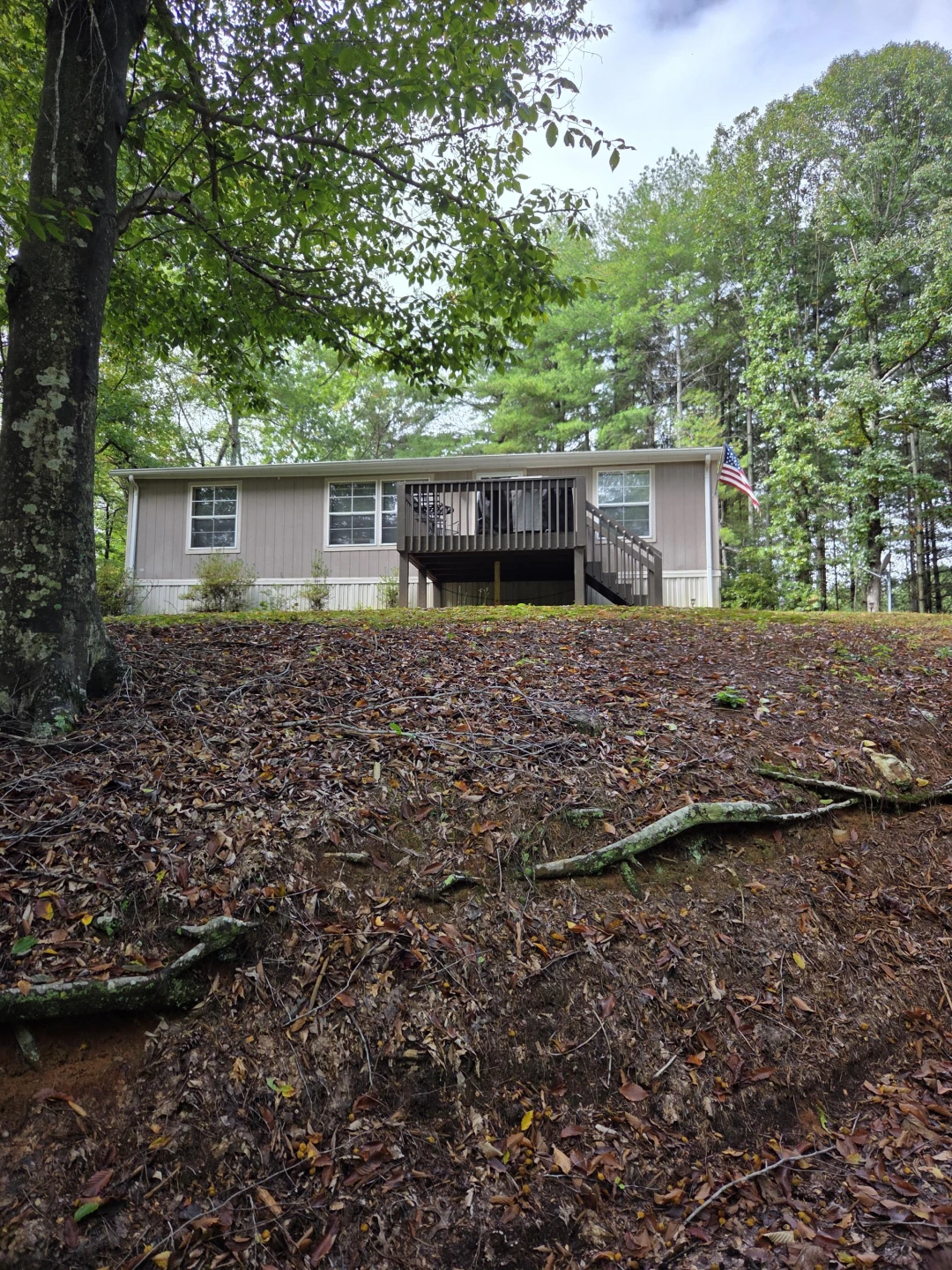 2031 Lone Ivy RD