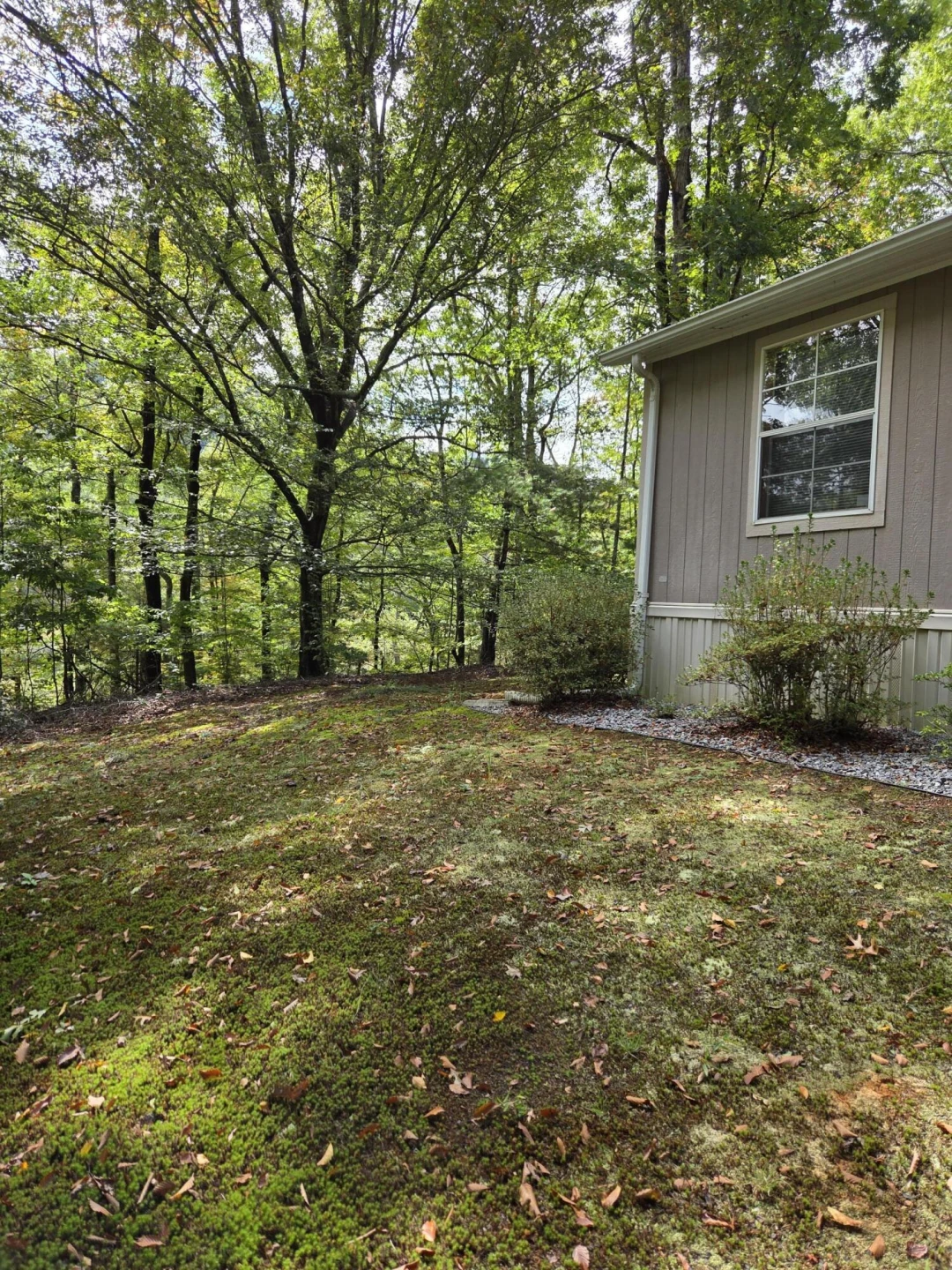 2031 Lone Ivy RD - Photo 10