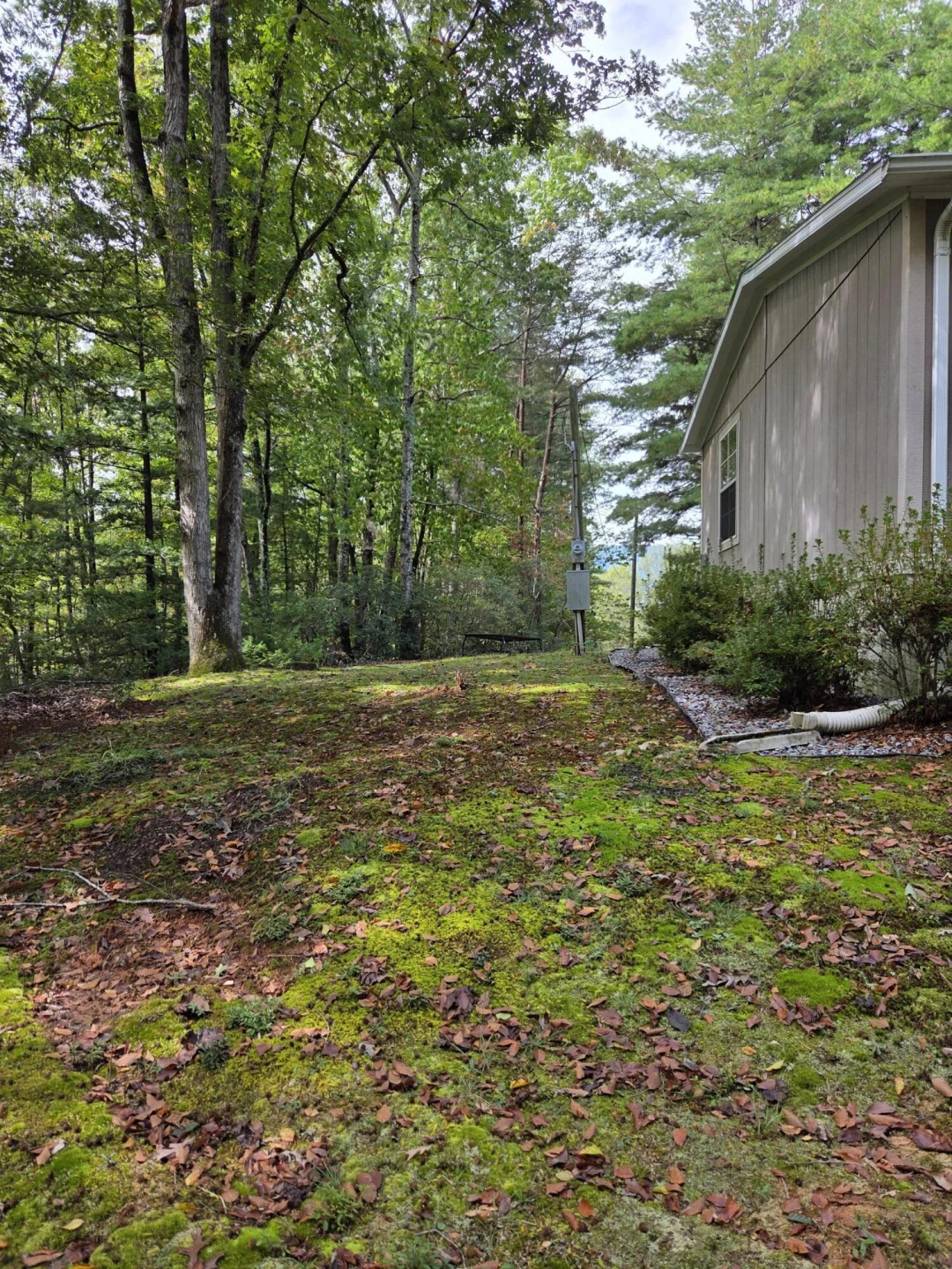 2031 Lone Ivy RD - Photo 13