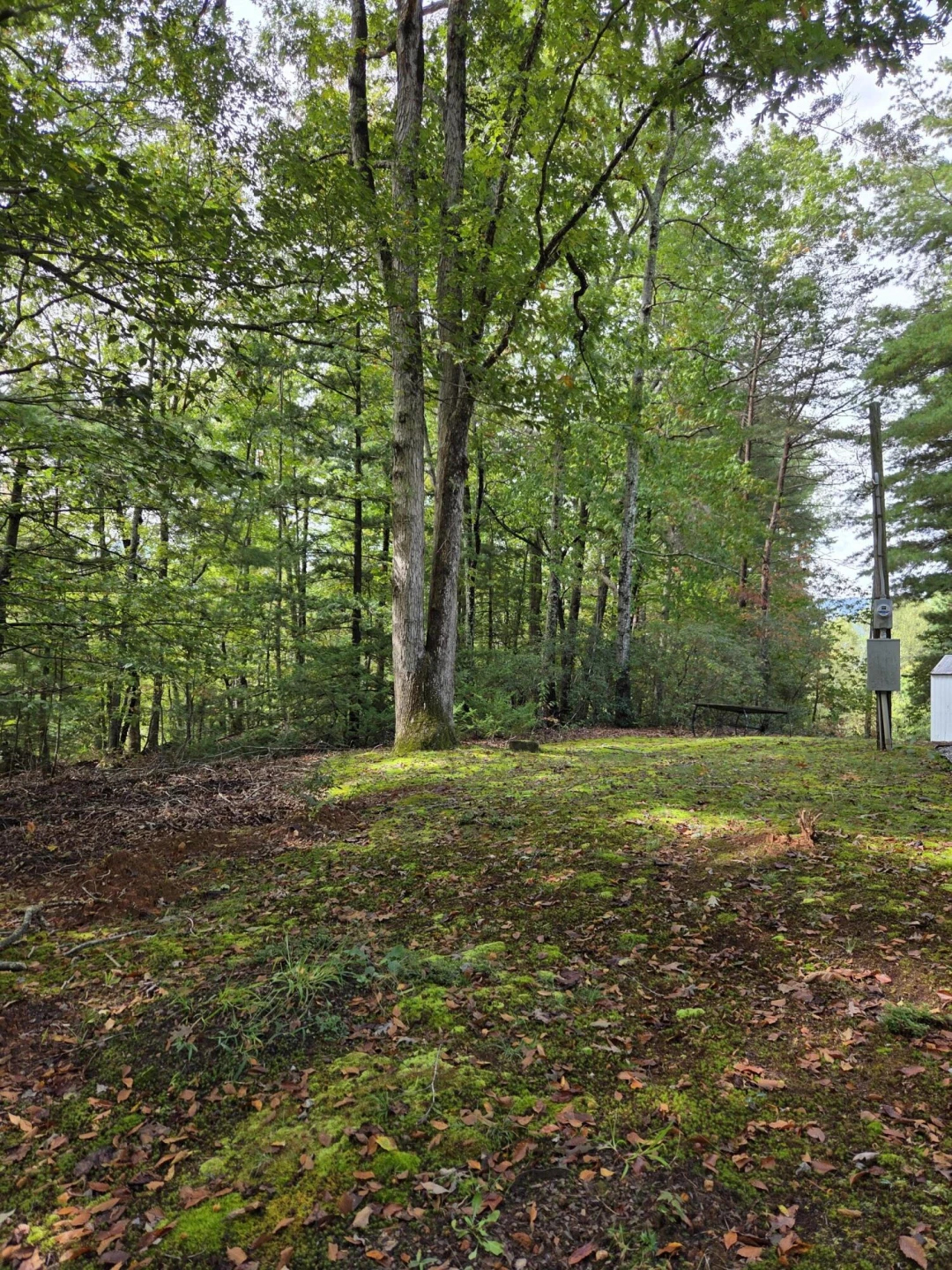 2031 Lone Ivy RD - Photo 14