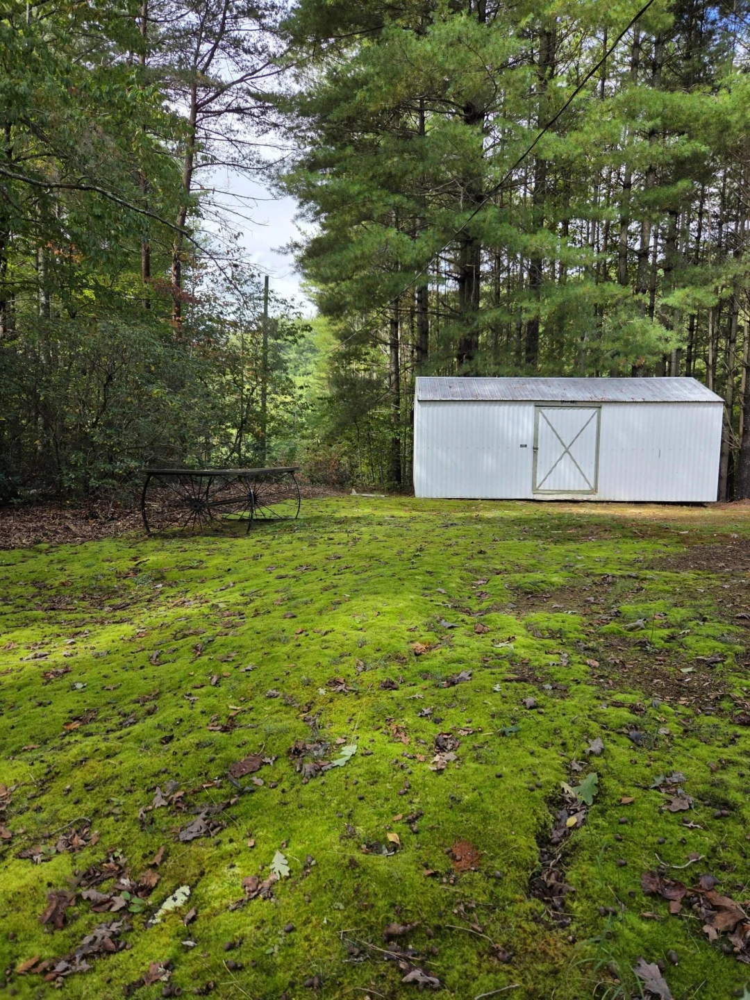 2031 Lone Ivy RD - Photo 16