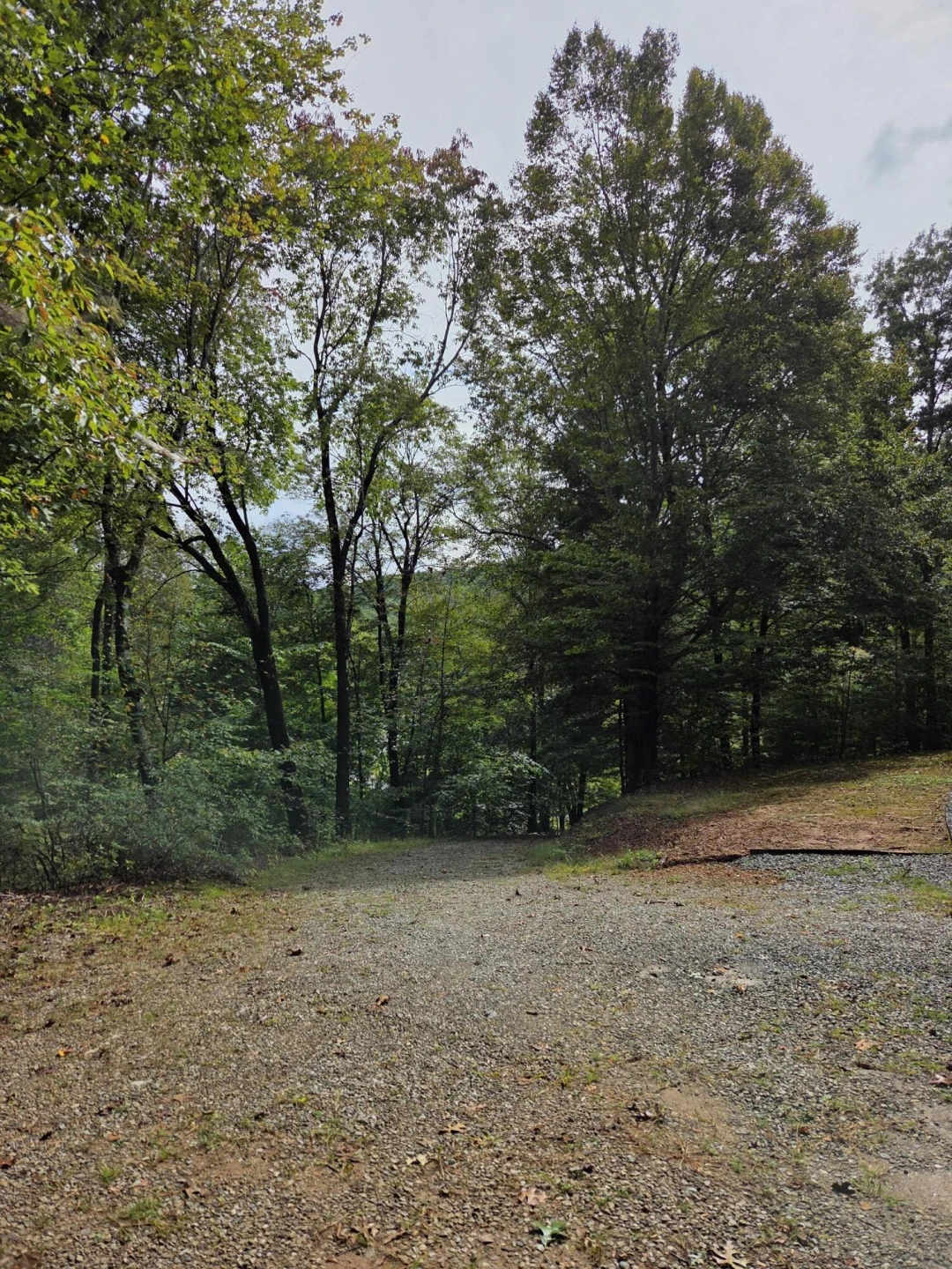 2031 Lone Ivy RD - Photo 2