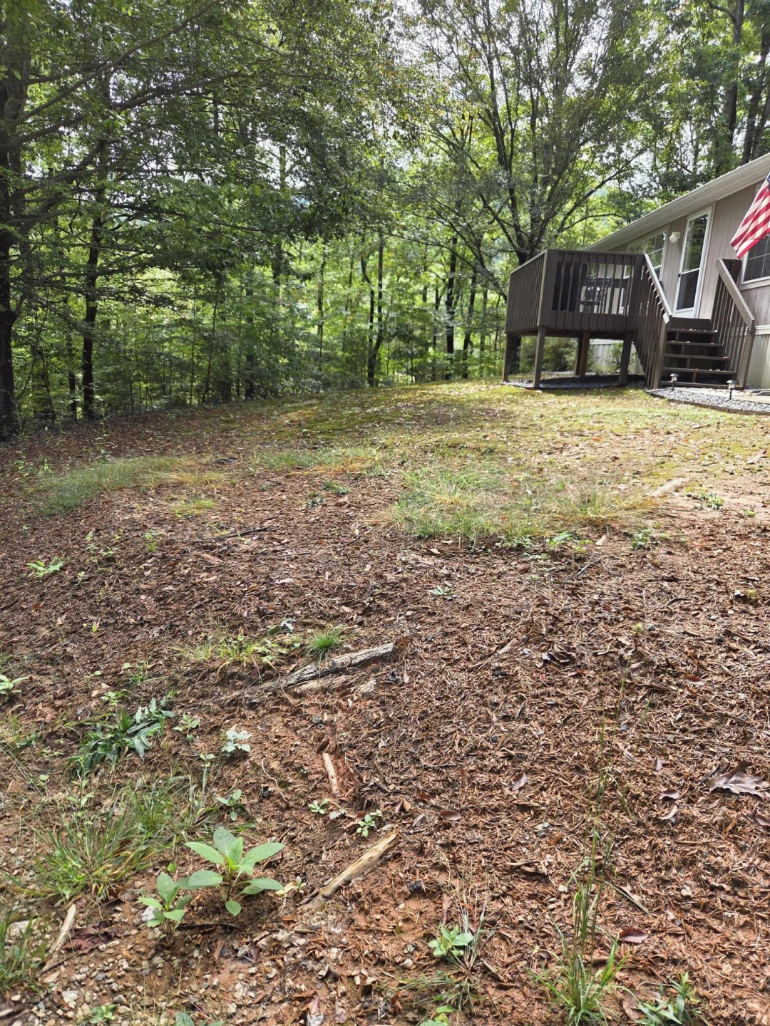 2031 Lone Ivy RD - Photo 5