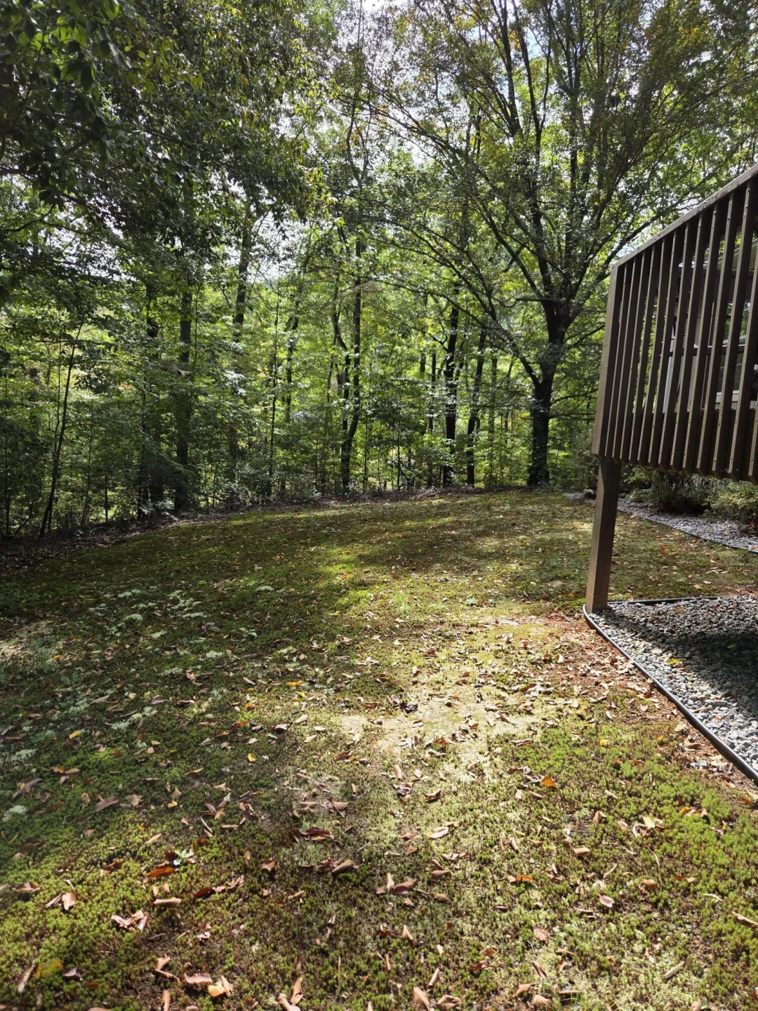 2031 Lone Ivy RD - Photo 9