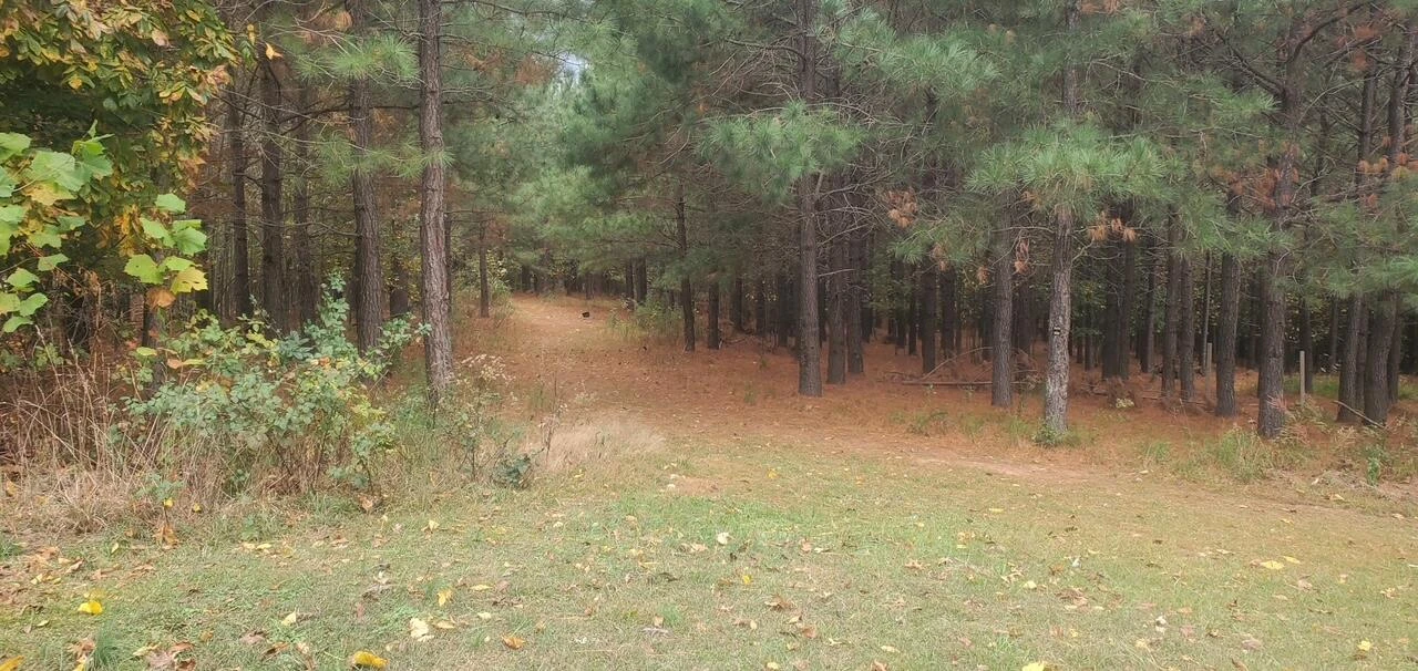 514 Oakshire LN - Photo 56