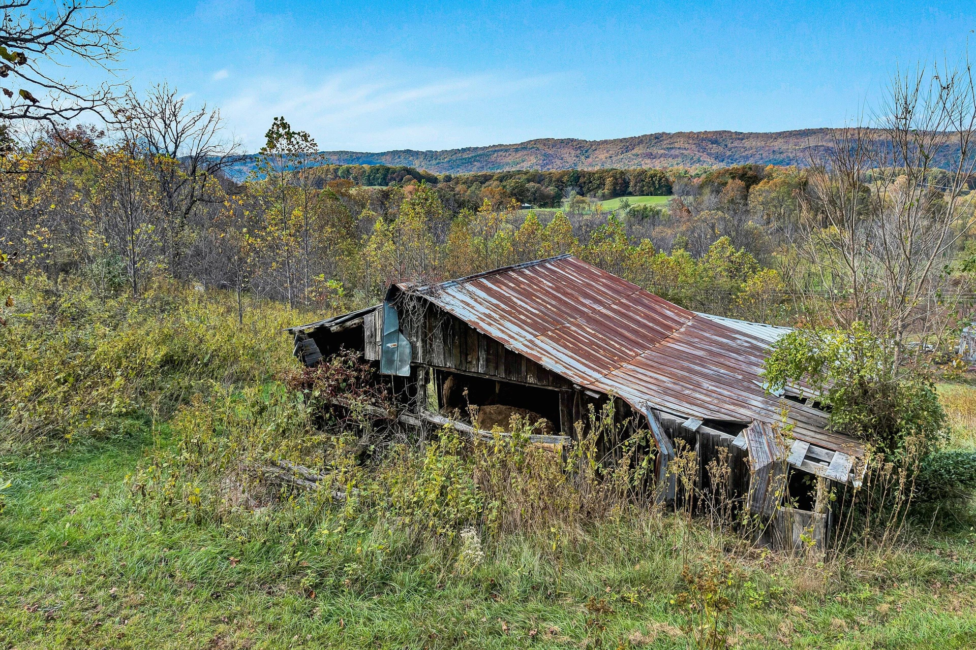 7796 Newport RD - Photo 53