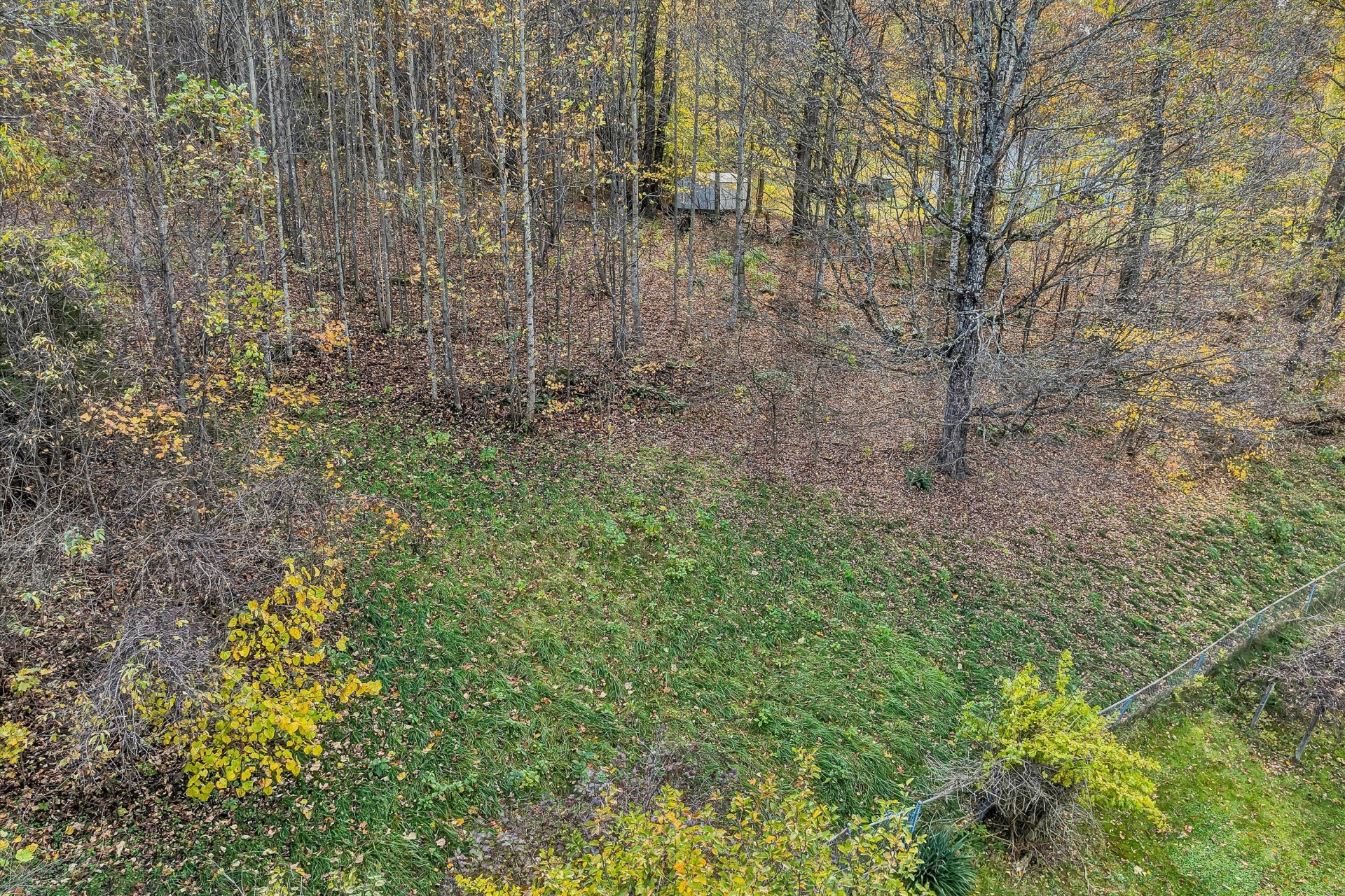 7796 Newport RD - Photo 57