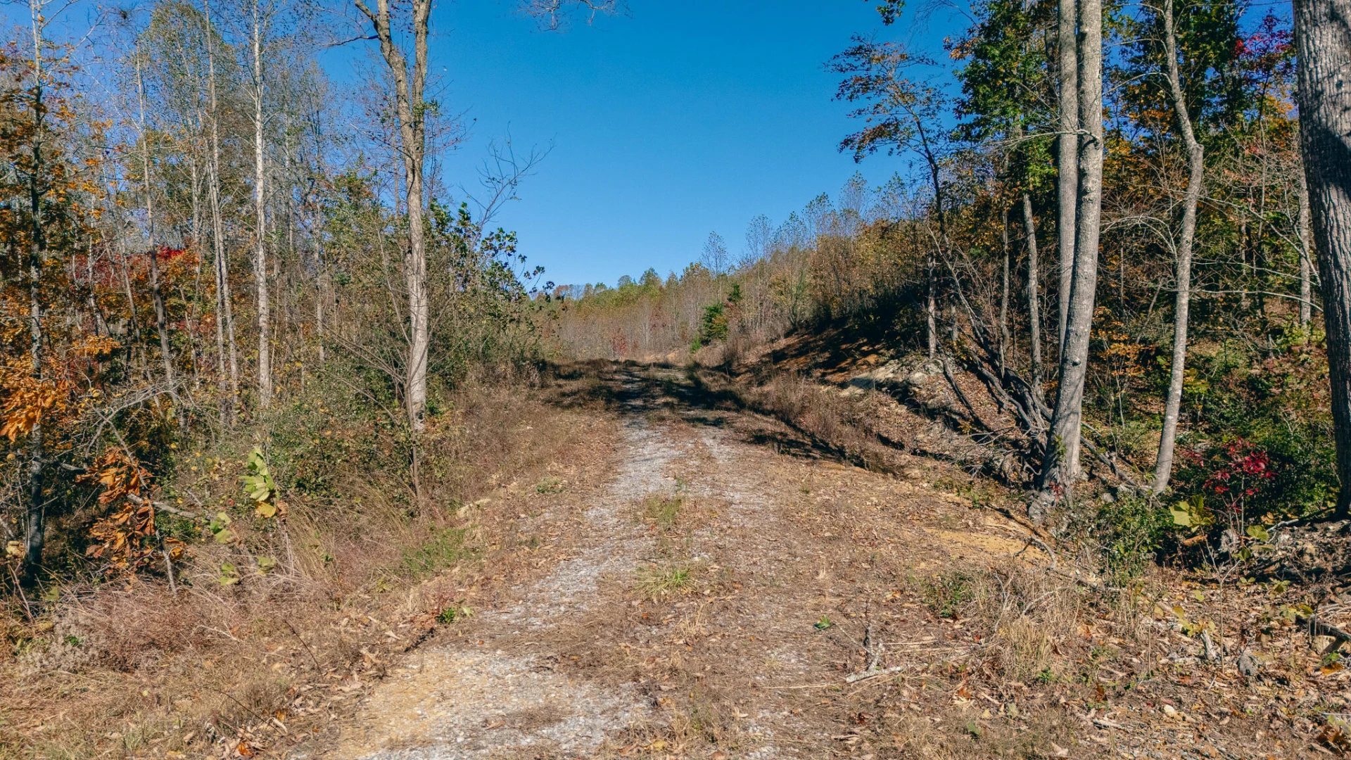 0 Sandy Ford RD - Photo 12