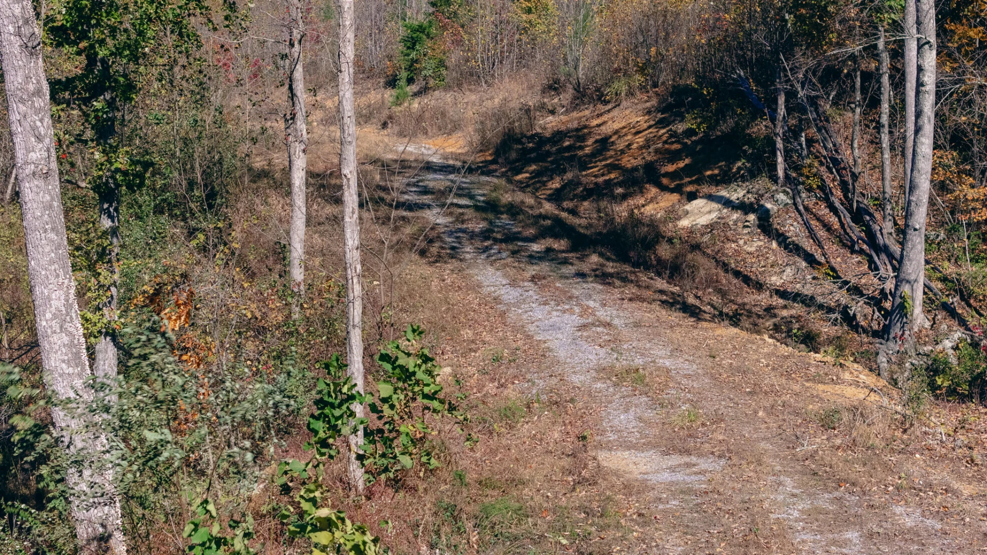 0 Sandy Ford RD - Photo 14