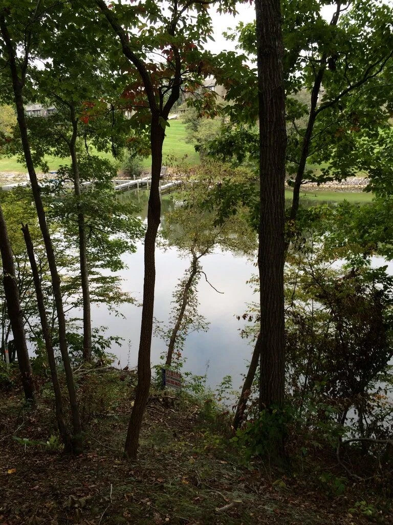 Lot 63 Waterworld Pointe - Photo 3