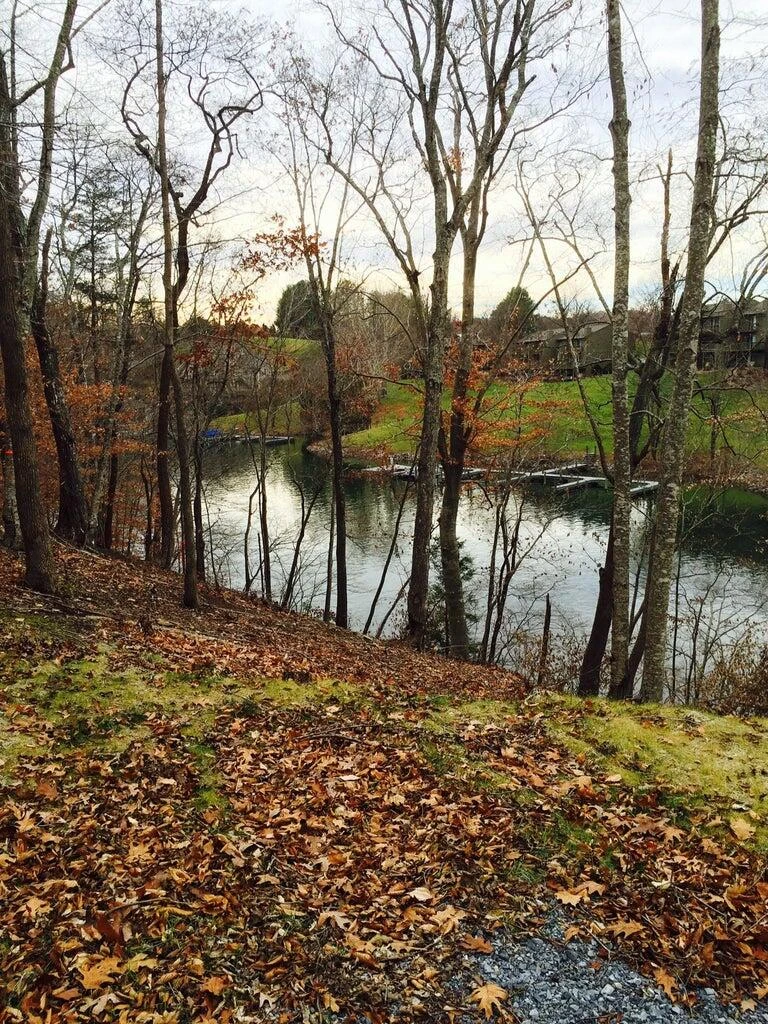 Lot 63 Waterworld Pointe - Photo 10