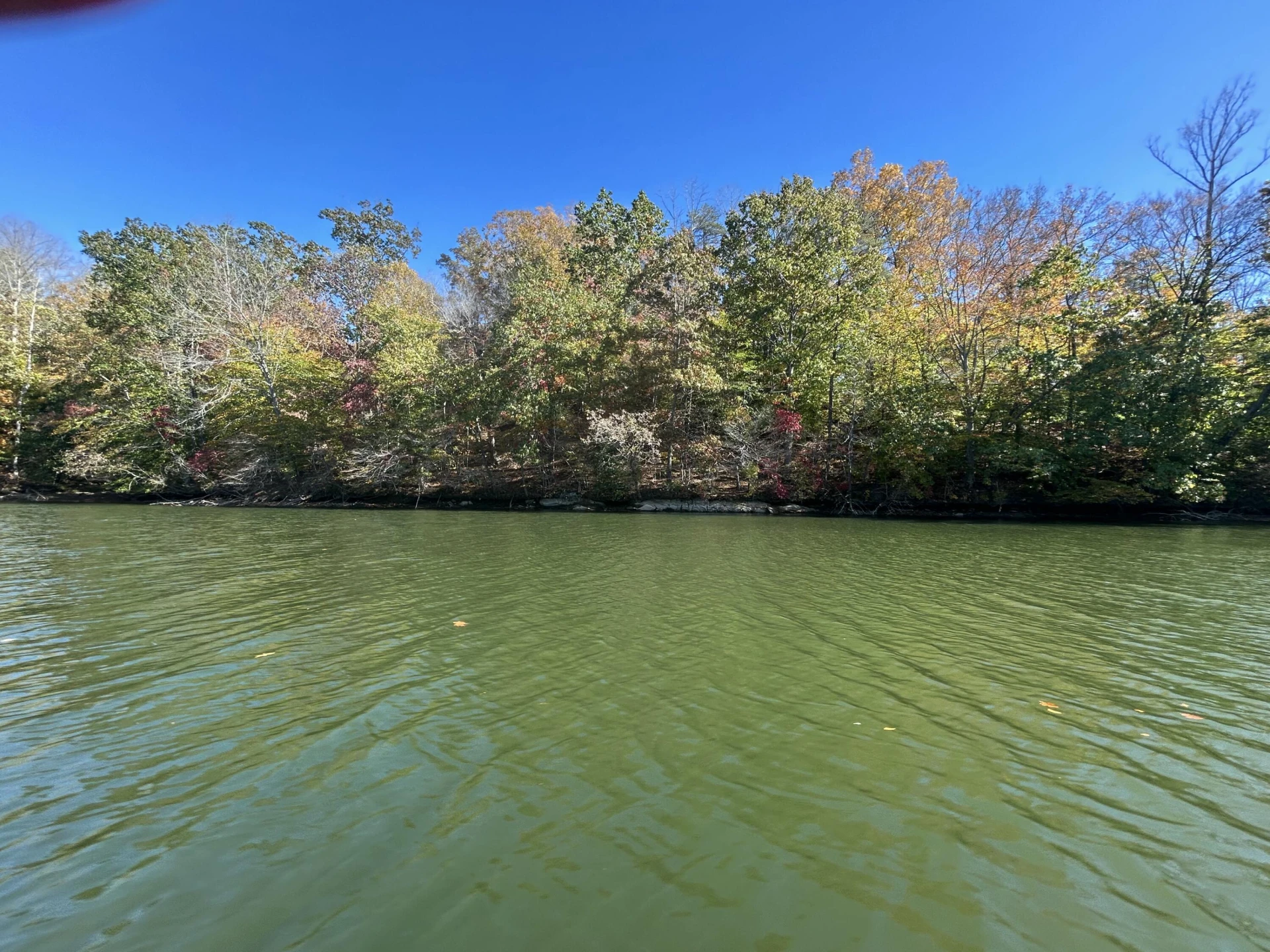 Lot 63 Waterworld Pointe - Photo 15