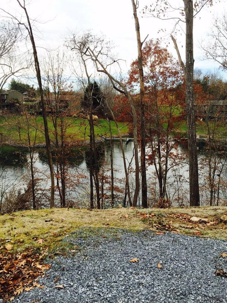 Lot 63 Waterworld Pointe - Photo 19