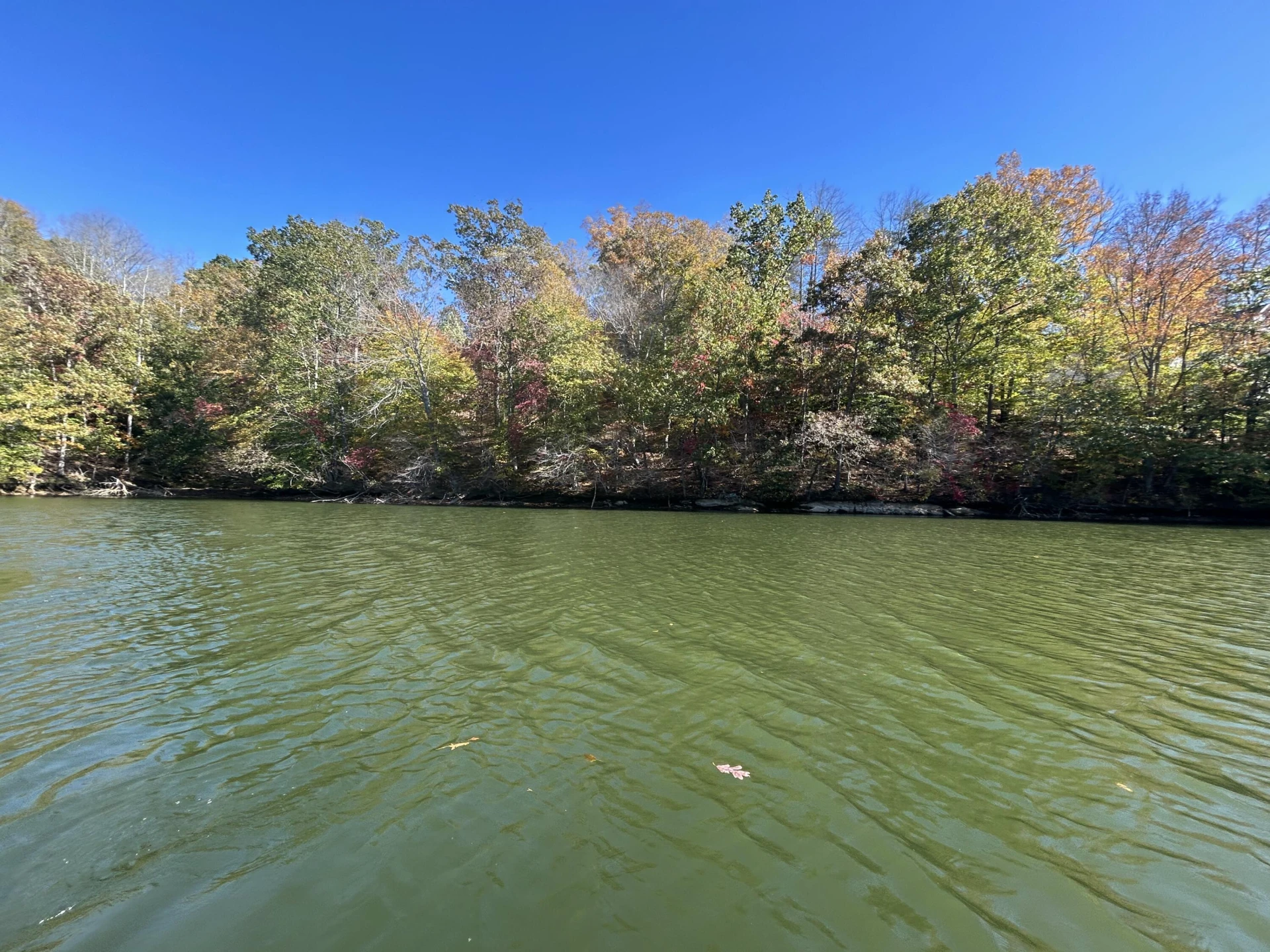 Lot 63 Waterworld Pointe - Photo 8