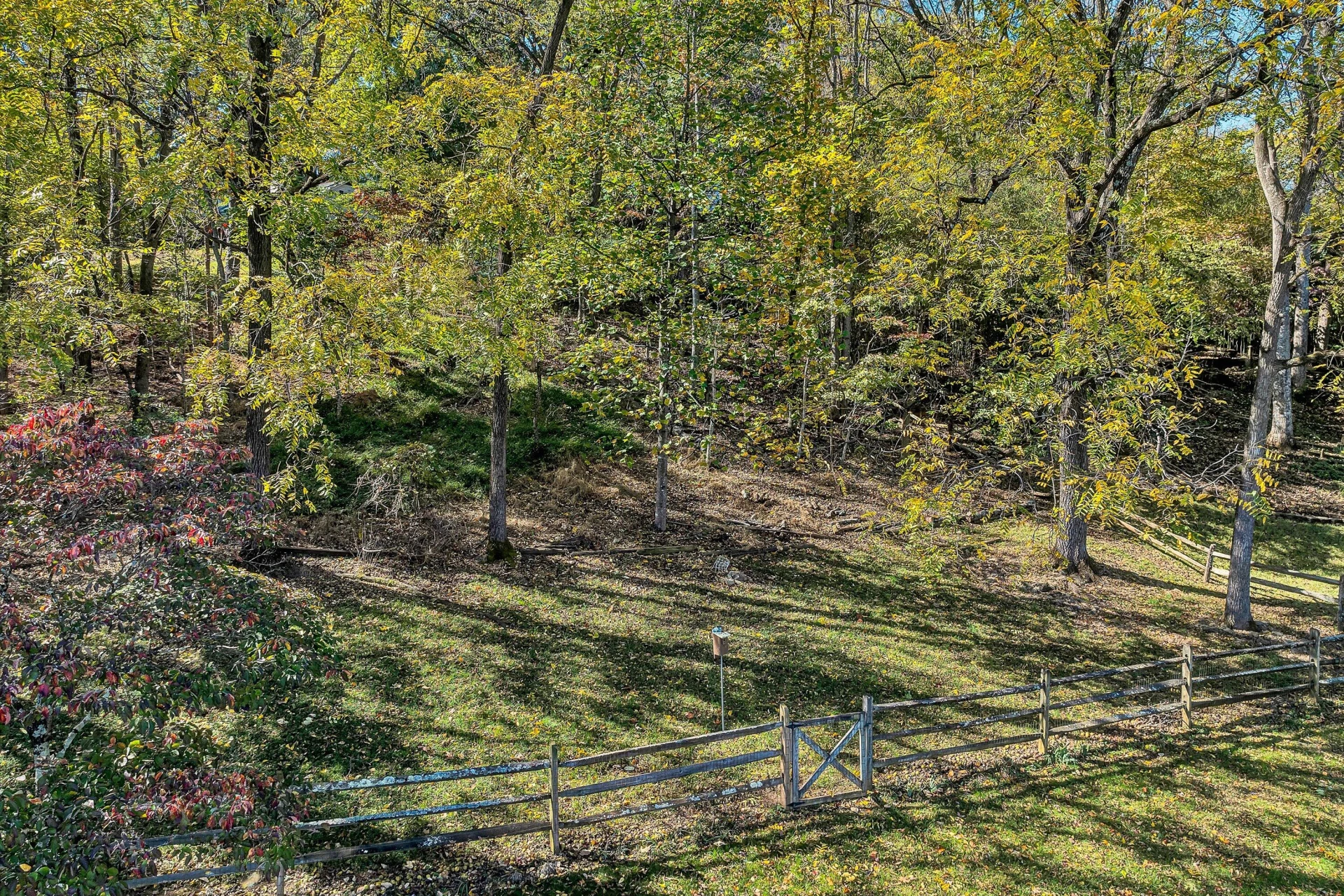 5206 Squires CT - Photo 66