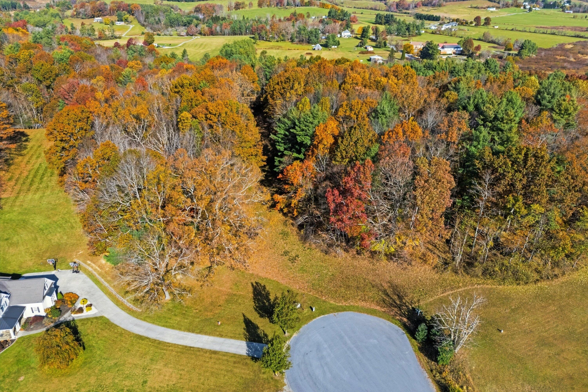 261 Cobble LN - Photo 2
