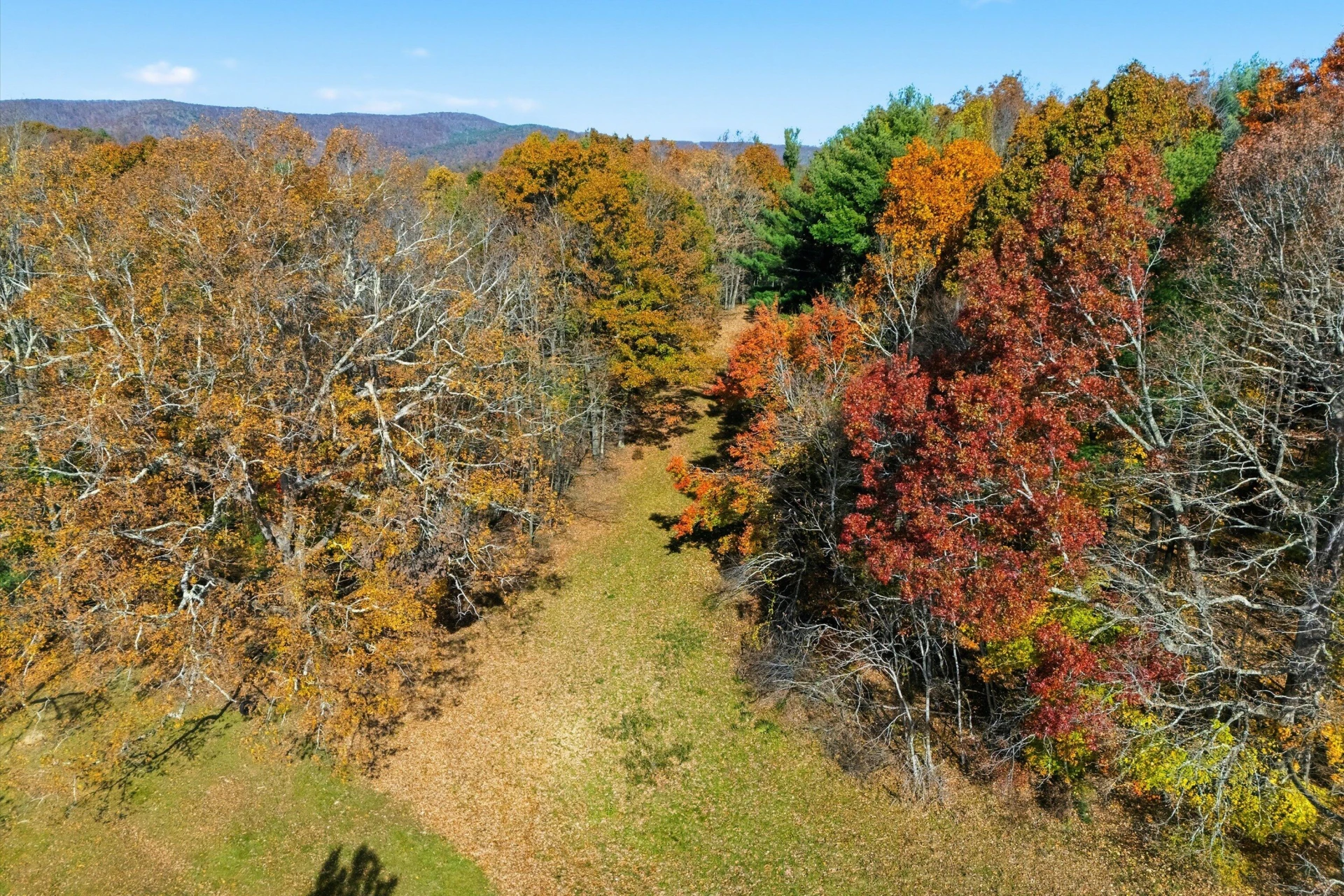 261 Cobble LN - Photo 6