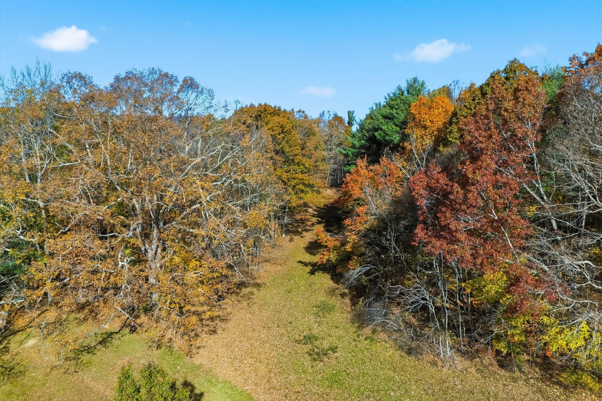 261 Cobble LN - Photo 7