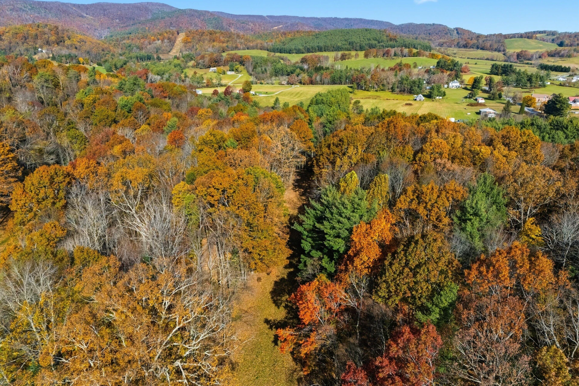 261 Cobble LN - Photo 8