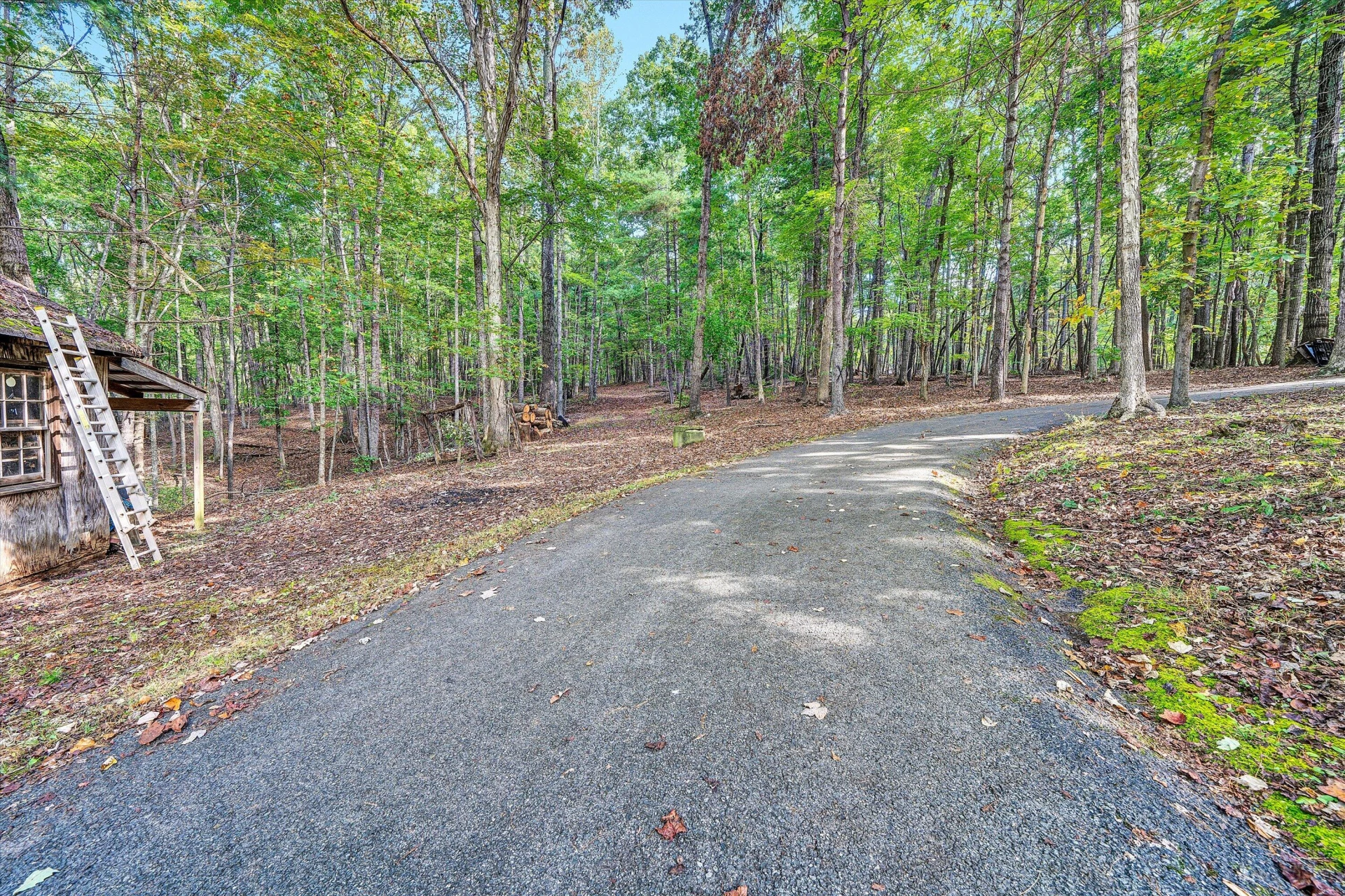 52 Amber LN - Photo 29