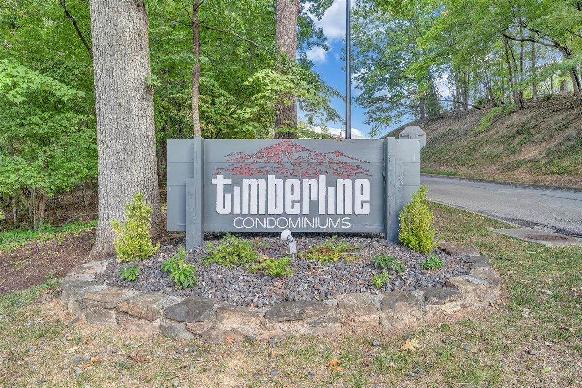 3533 Timberline TRL - Photo 2