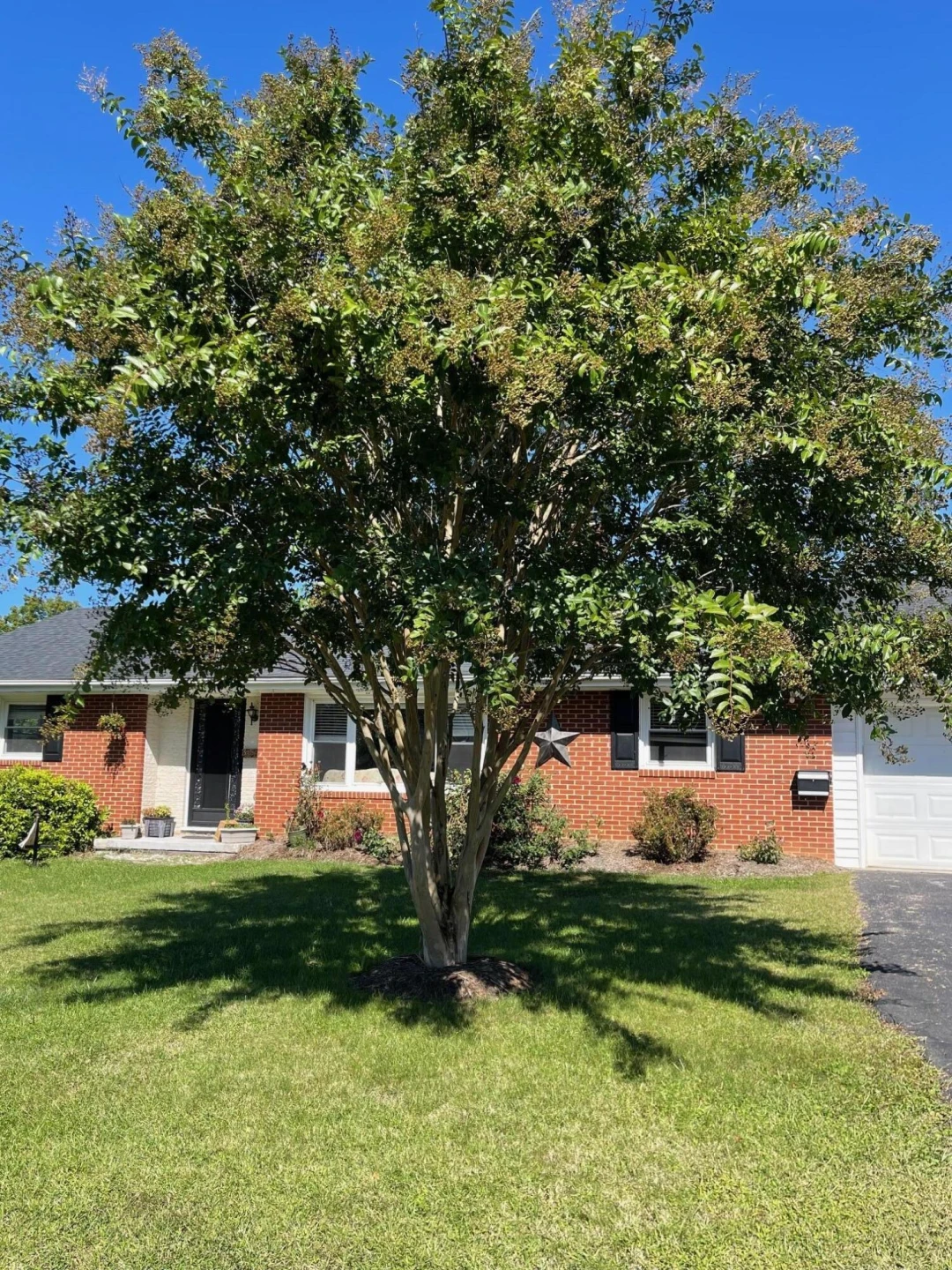 3358 Melody AVE - Photo 57