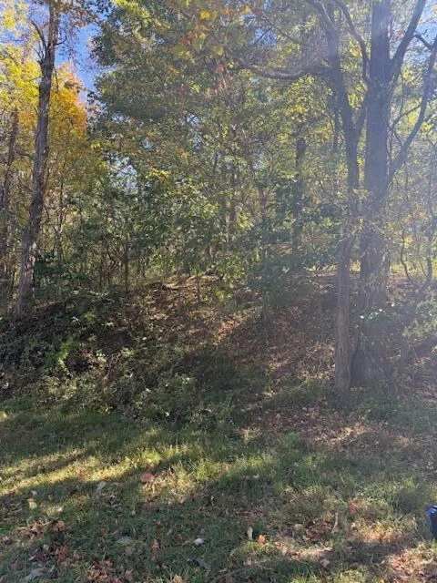 3638 Mill Iron RD - Photo 8