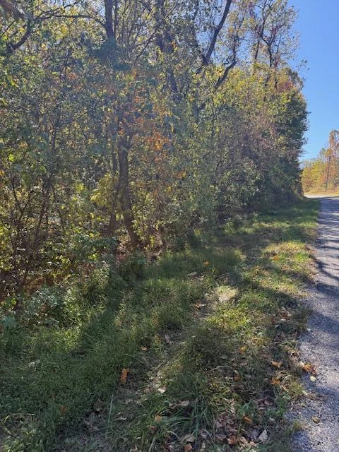 3638 Mill Iron RD - Photo 9