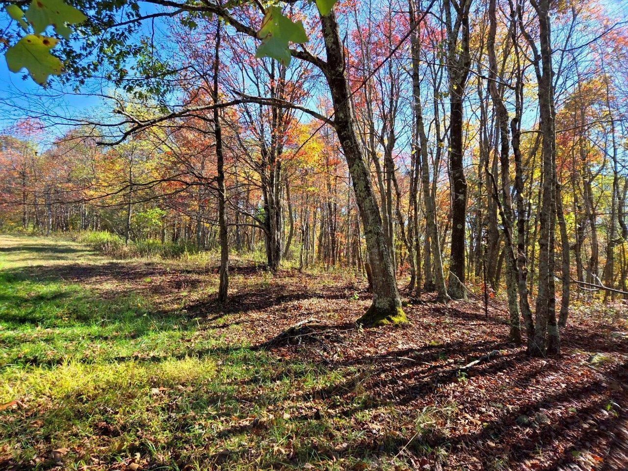 0 Bennett Mountain RD - Photo 3