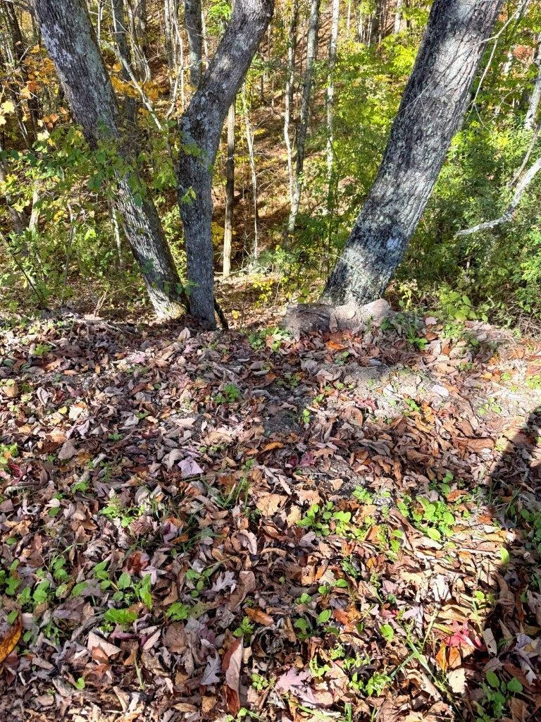 0 Bennett Mountain RD - Photo 37
