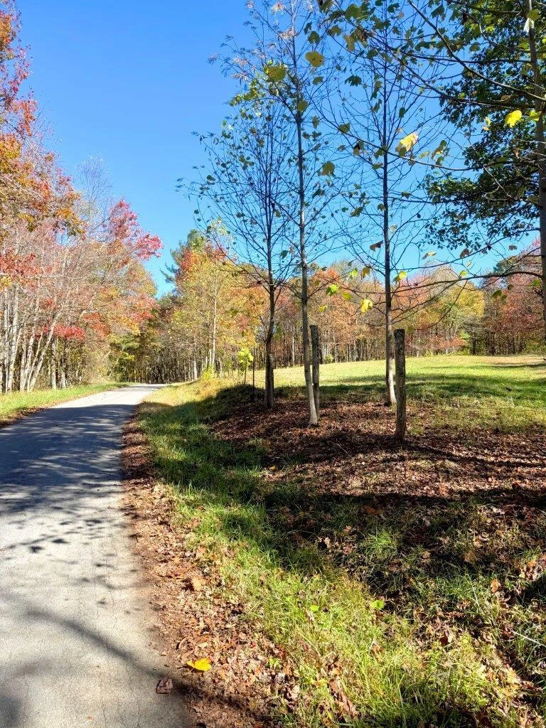 0 Bennett Mountain RD - Photo 40