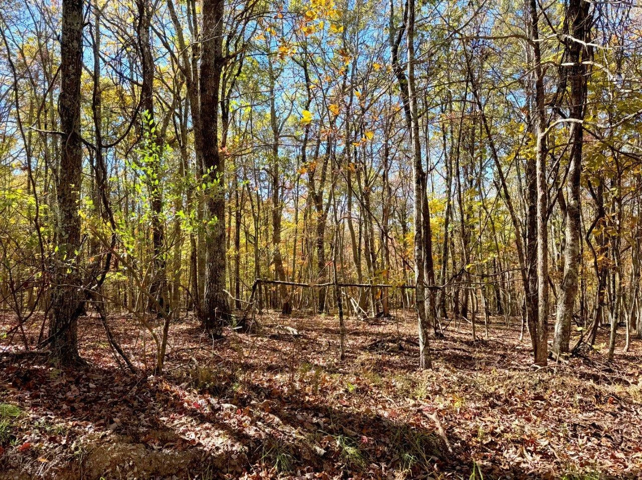 0 Bennett Mountain RD - Photo 42