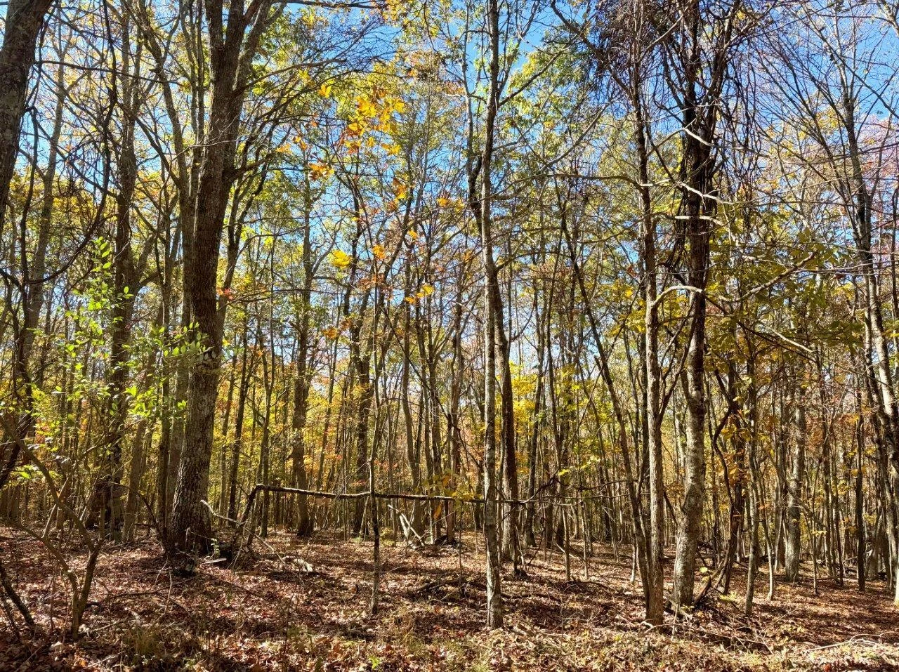 0 Bennett Mountain RD - Photo 43