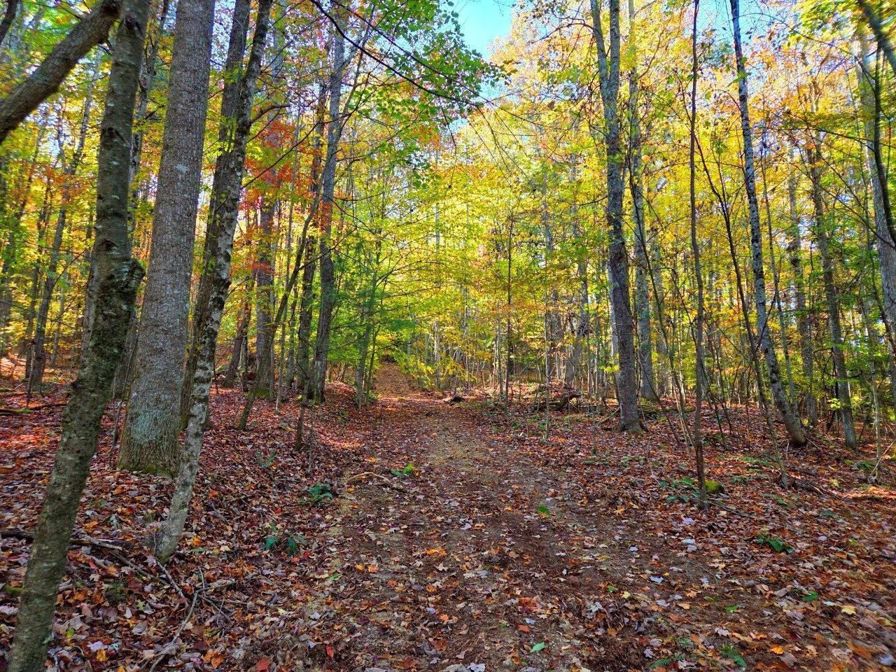 0 Old Pluto RD - Photo 13