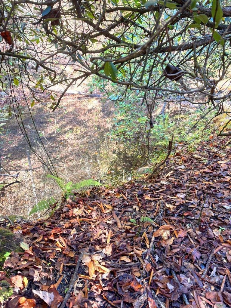 0 Old Pluto RD - Photo 19