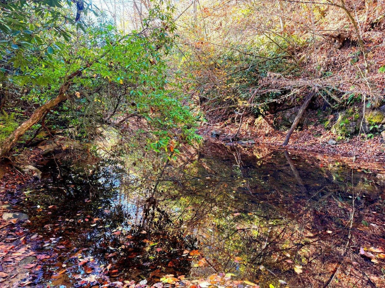 0 Old Pluto RD - Photo 23
