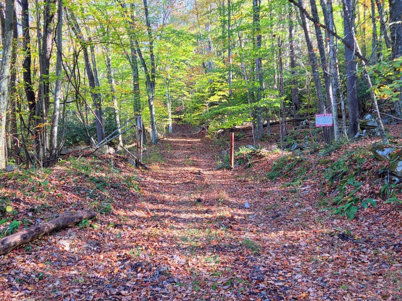 0 Old Pluto RD - Photo 6