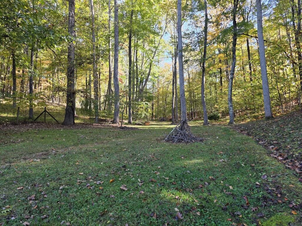 4420 Woolwine Hwy - Photo 3