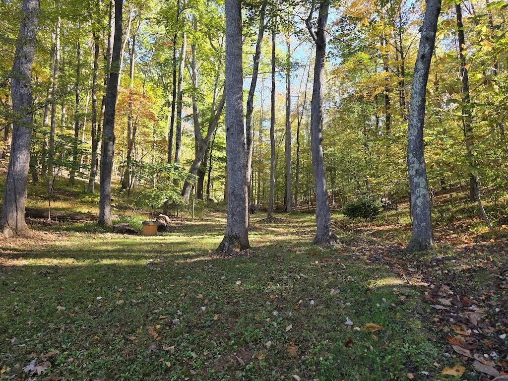 4420 Woolwine Hwy - Photo 25