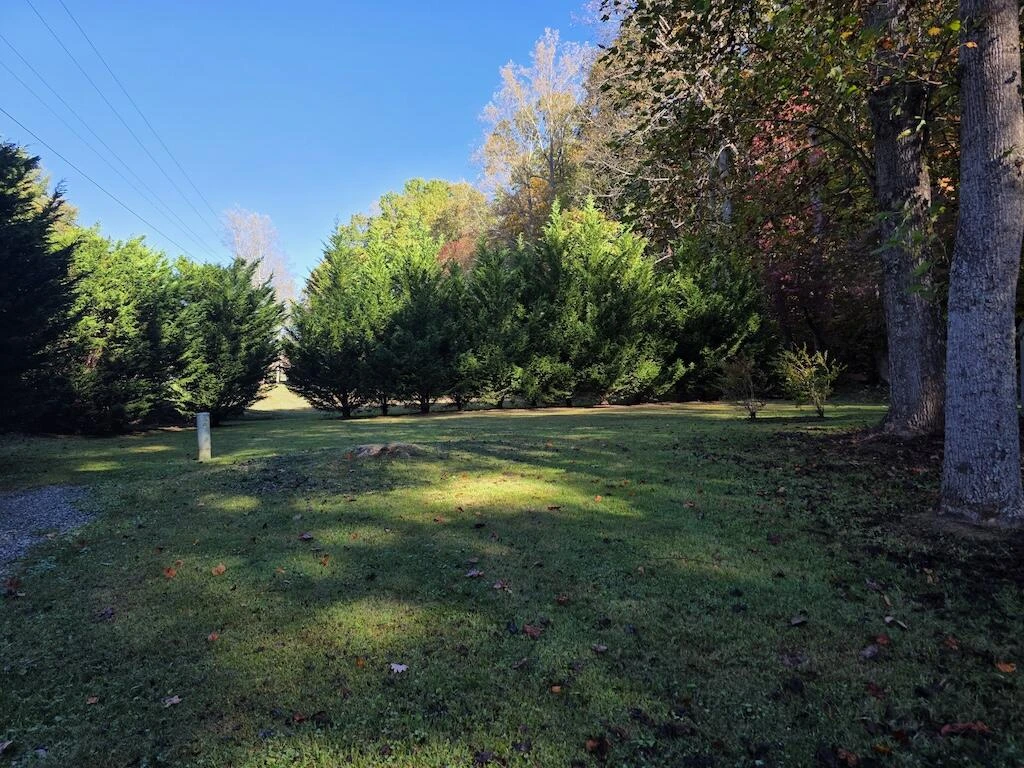 4420 Woolwine Hwy - Photo 4