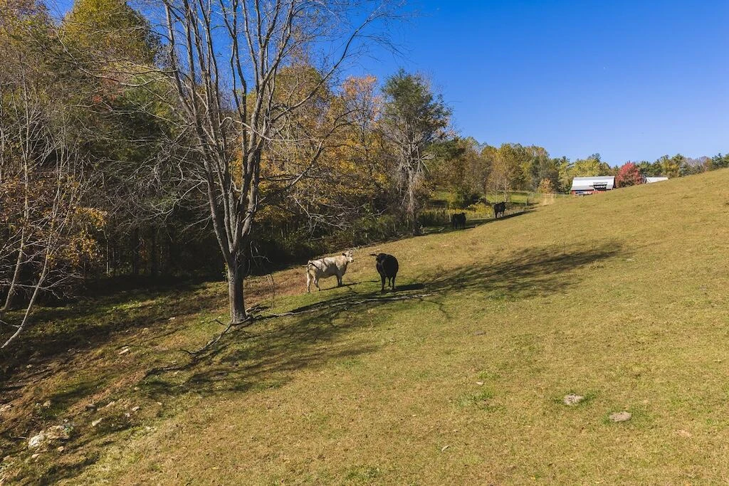2038 Pilot View DR - Photo 45