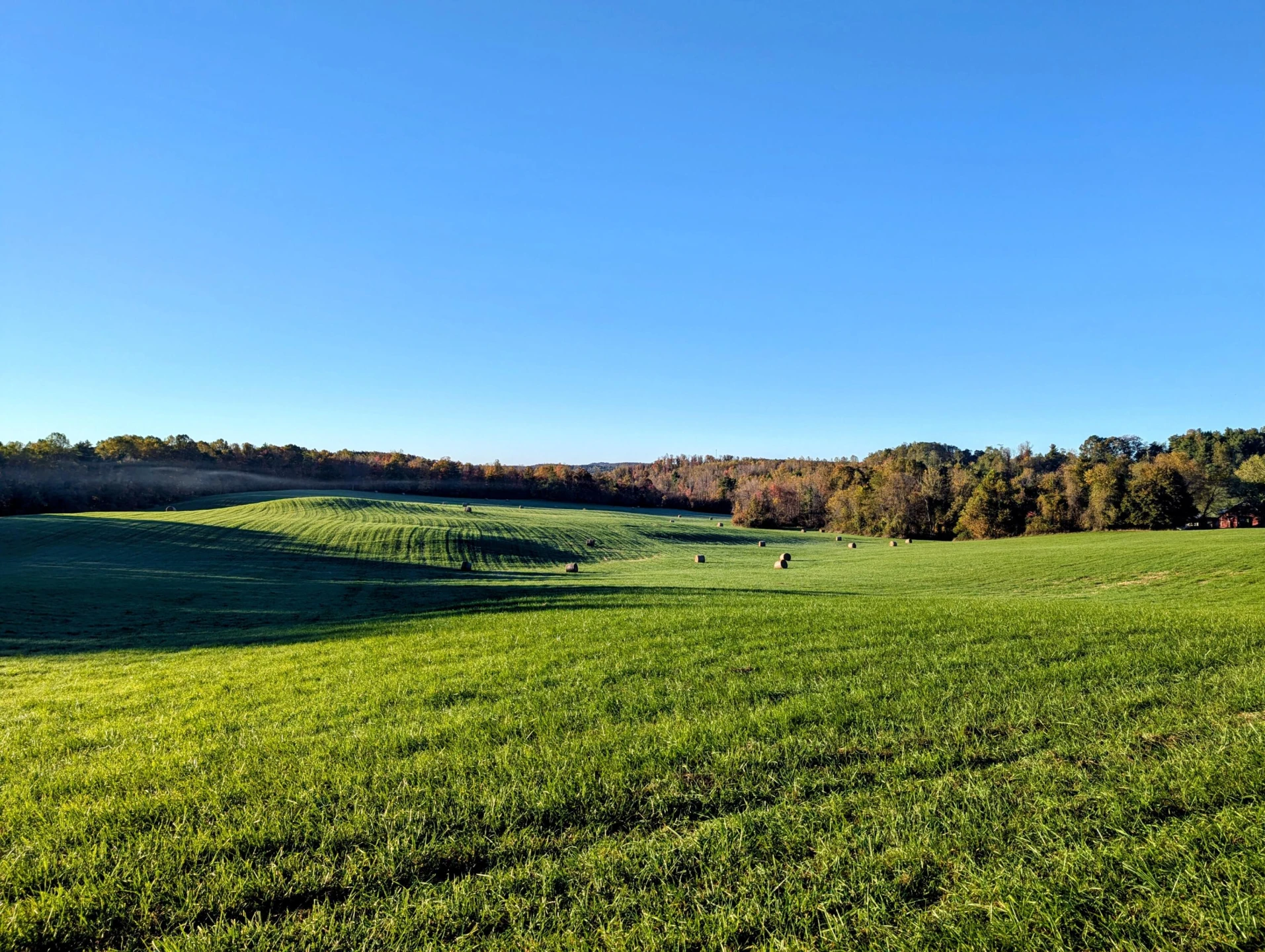 TBD Daniels Run RD