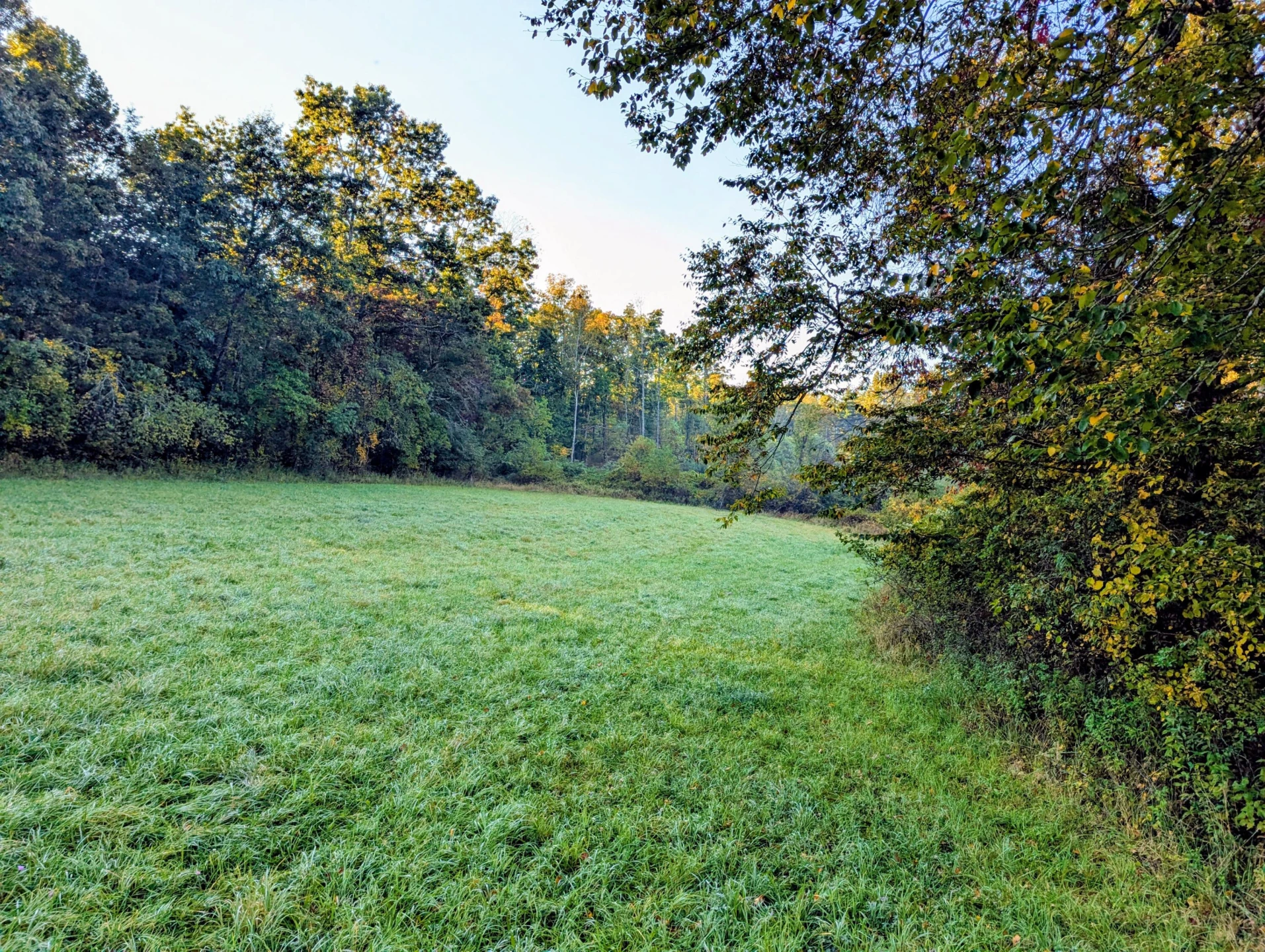 TBD Daniels Run RD - Photo 10