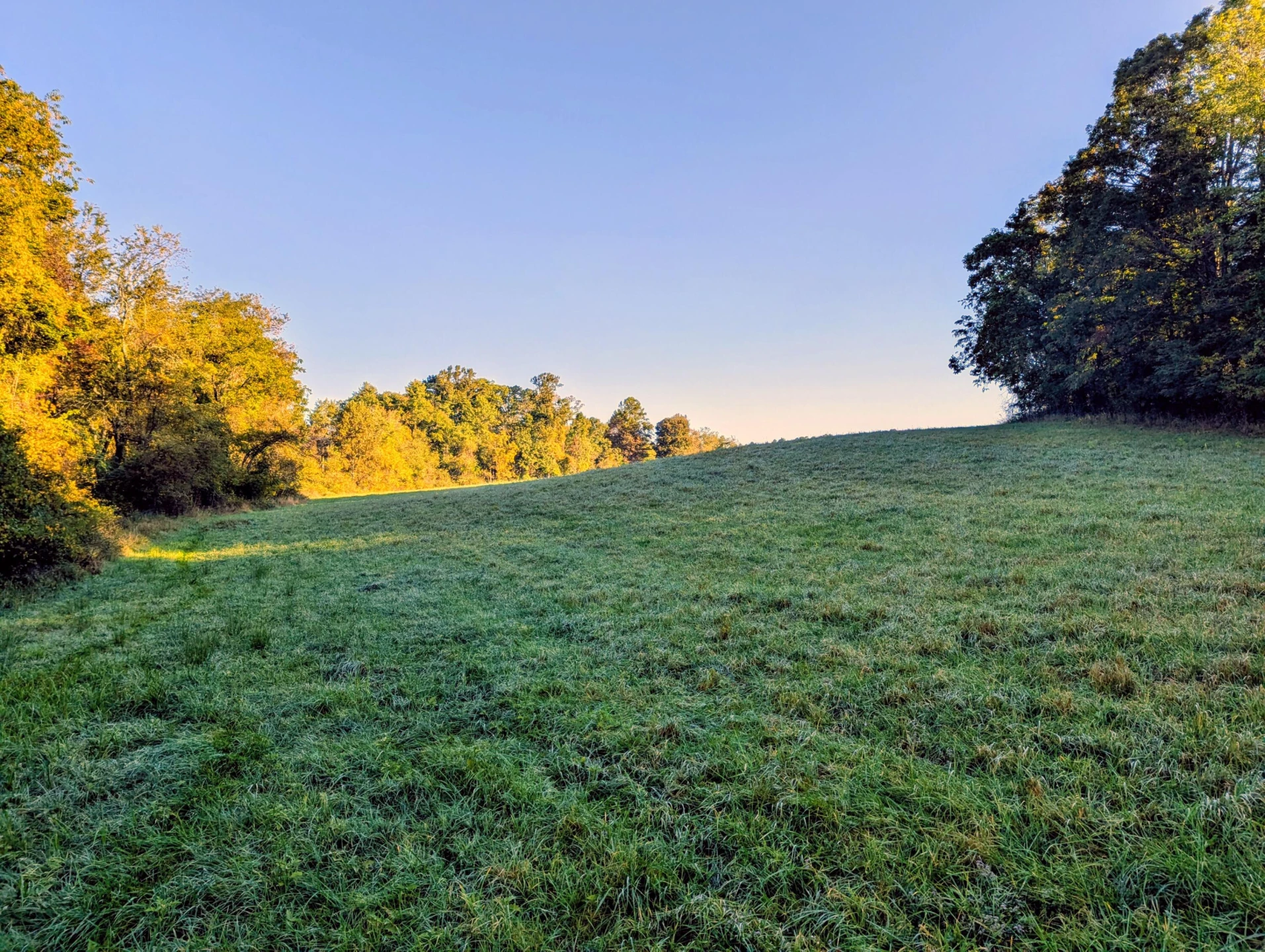 TBD Daniels Run RD - Photo 11