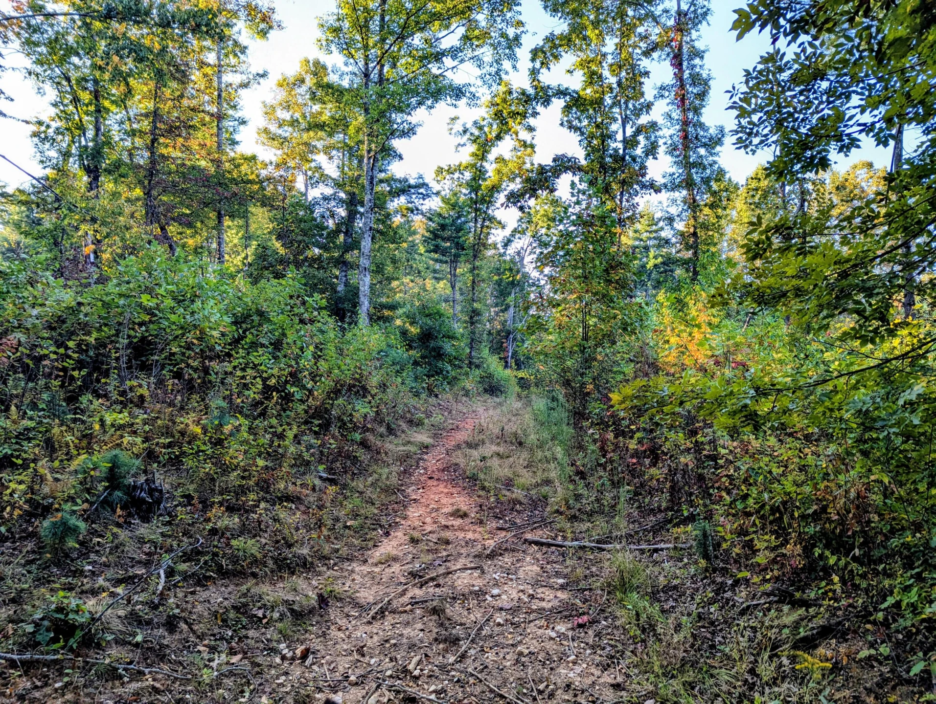 TBD Daniels Run RD - Photo 12