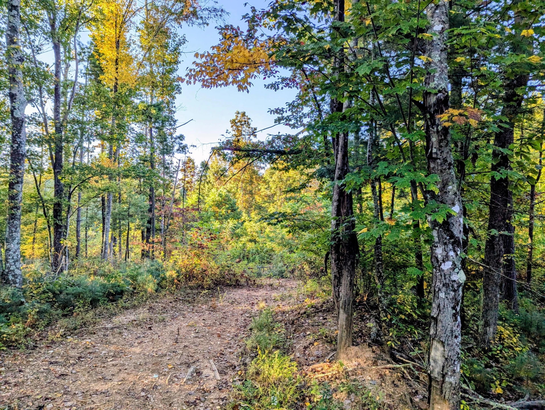 TBD Daniels Run RD - Photo 13