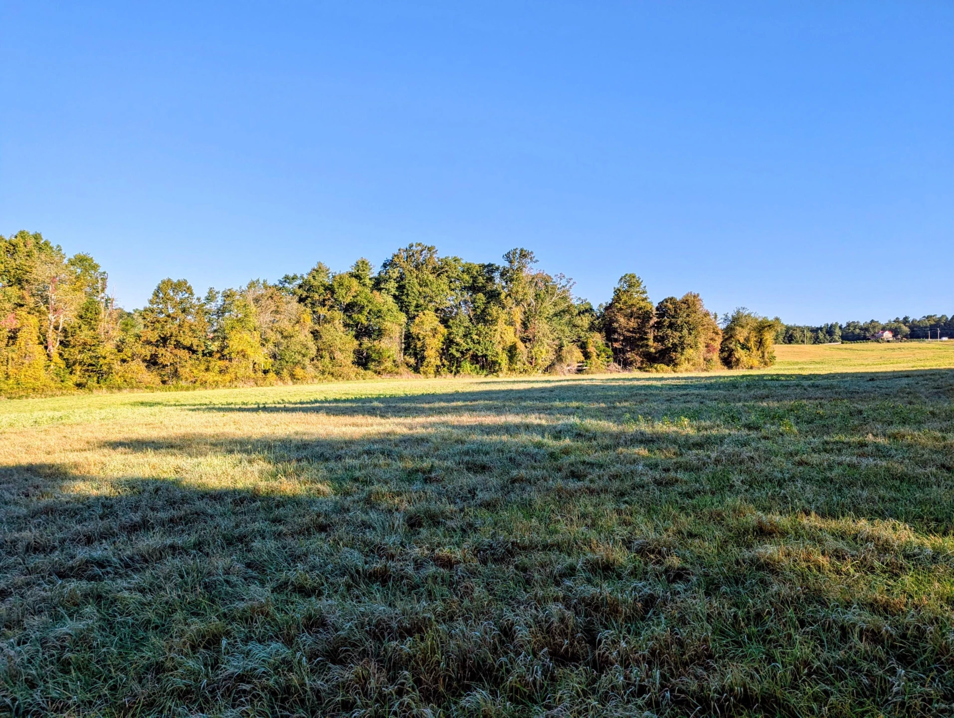 TBD Daniels Run RD - Photo 18