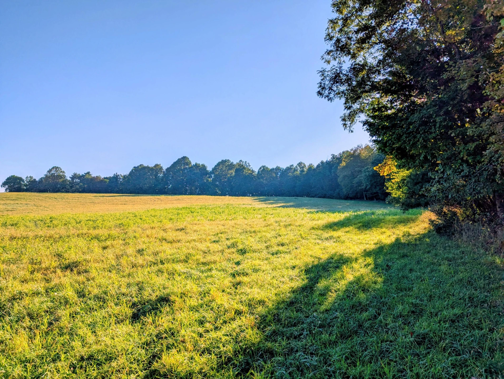 TBD Daniels Run RD - Photo 19