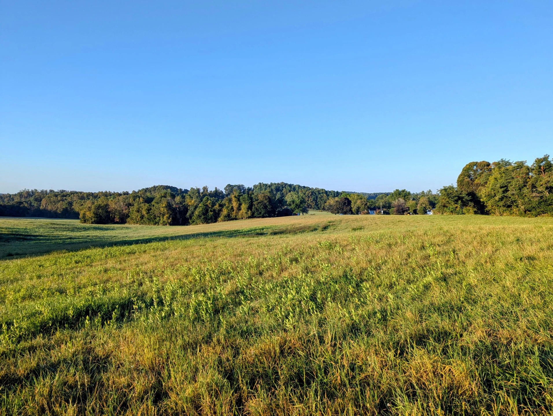 TBD Daniels Run RD - Photo 2